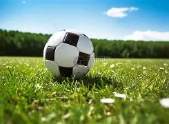 费兰展望,梦想加冕与,鲨鱼同行,开云体育官网,KaiYun,SPORTS,开云体育中国官网,KaiYun体育平台,开云体育服务