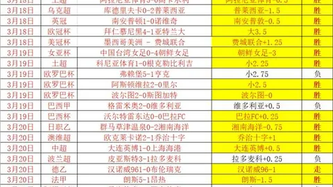 桑德兰对阵热刺：法国球员赛场表现分析